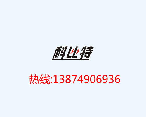 南充市委書記強(qiáng)調(diào)突出重點(diǎn)單位和部位的防雷安全工作